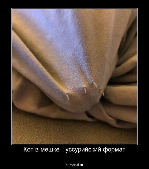 Кот в мешке - уссурийский формат