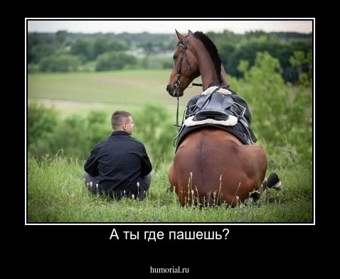 А ты где пашешь?