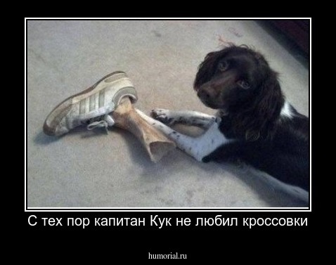 С тех пор капитан Кук не любил кроссовки