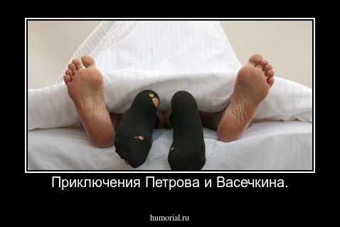 Приключения Петрова и Васечкина.