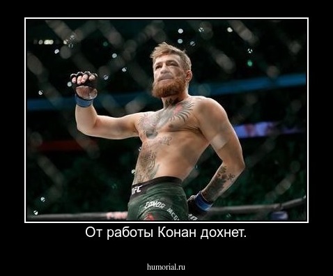 От работы Конан дохнет.