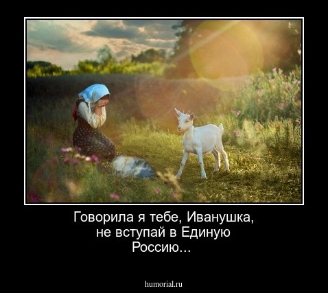 Говорила я тебе, Иванушка, не вступай в Единую Россию...