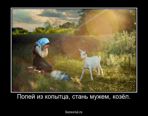 Попей из копытца, стань мужем, козёл.