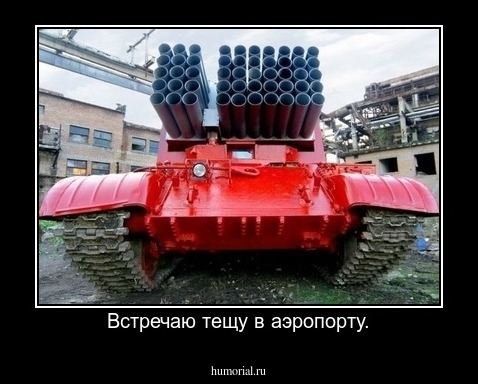 Встречаю тещу в аэропорту.