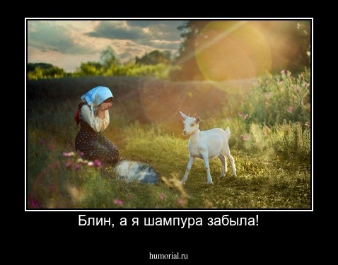 Блин, а я шампура забыла!