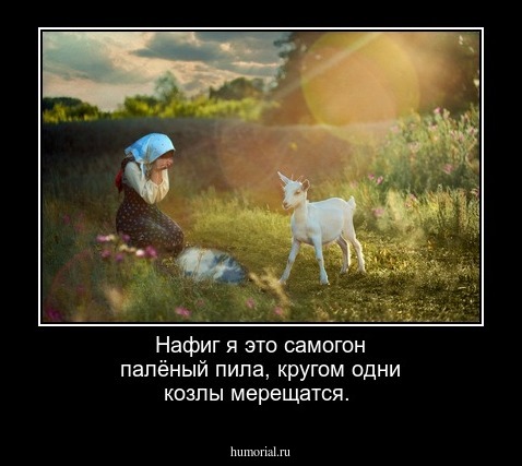 Нафиг я это самогон палёный пила, кругом одни козлы мерещатся.
