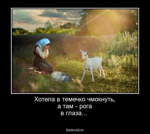 Хотела в темечко чмокнуть, а там - рога в глаза...