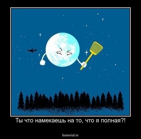Ты что намекаешь на то, что я полная?!