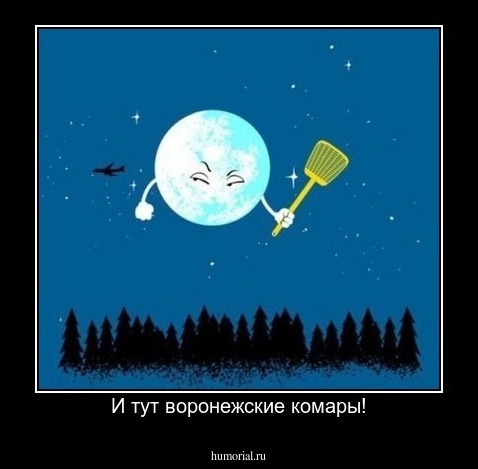 И тут воронежские комары!