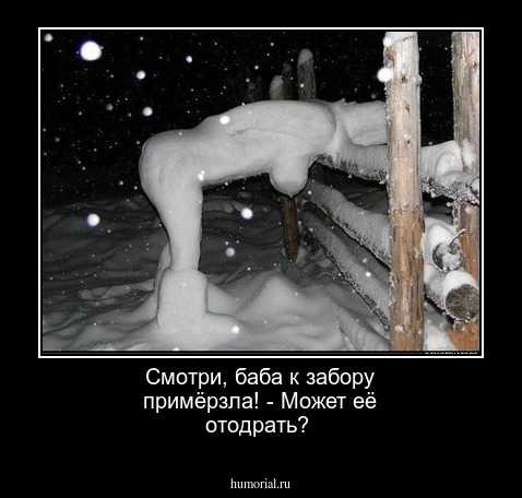 Смотри, баба к  забору  примёрзла! -  Может её отодрать?
