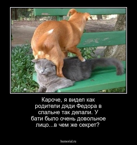Кароче, я видел как родители дяди Федора в спальне так делали. У бати было очень довольное лицо...в чем же секрет?