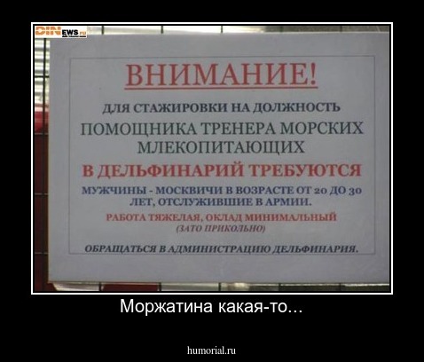 Моржатина какая-то...
