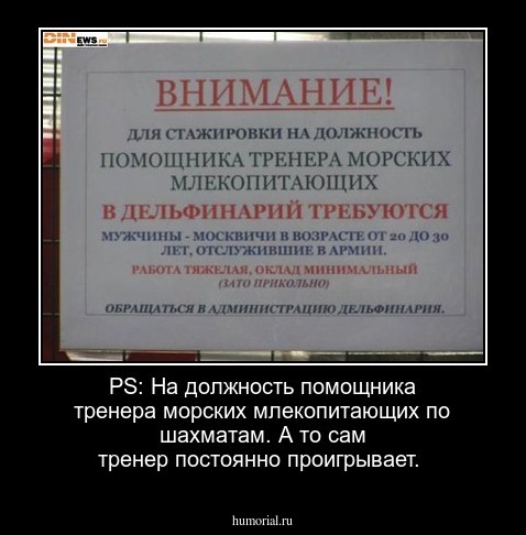 PS: На должность помощника тренера морских млекопитающих по шахматам. А то  сам  тренер постоянно проигрывает.