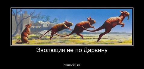 Эволюция не по Дарвину