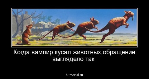 Когда вампир кусал животных,обращение выглядело так