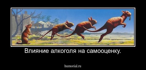 Влияние алкоголя на самооценку.