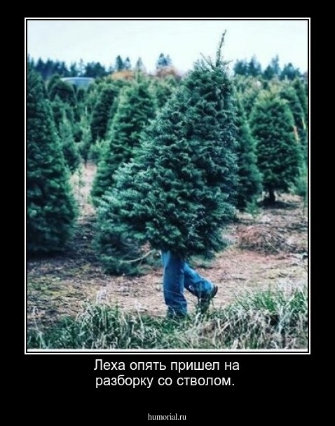 Леха опять пришел на разборку со стволом.