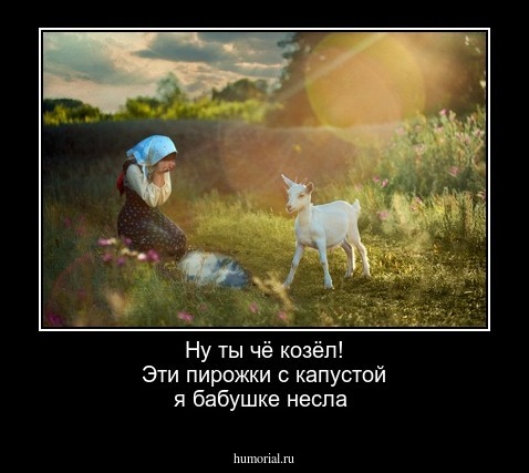 Ну ты  чё козёл!  Эти пирожки с  капустой  я   бабушке несла