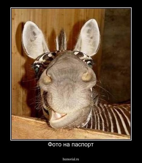 Фото на паспорт