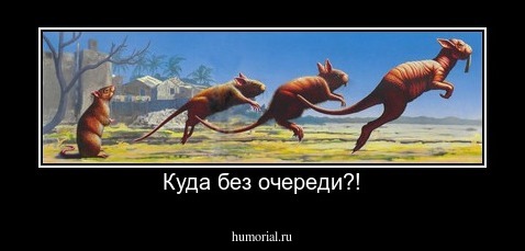 Куда без очереди?!
