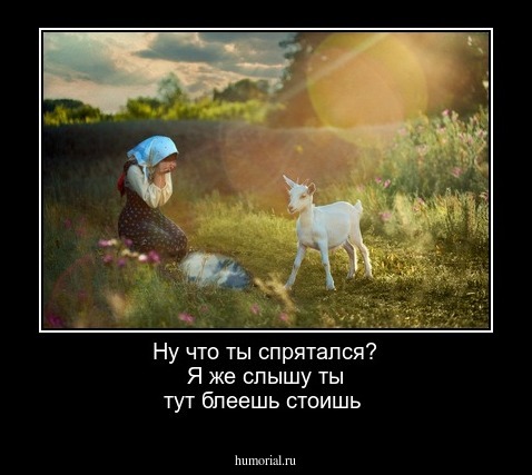 Ну что ты спрятался? Я же слышу ты тут блеешь стоишь