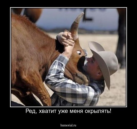 Ред, хватит уже меня окрылять!