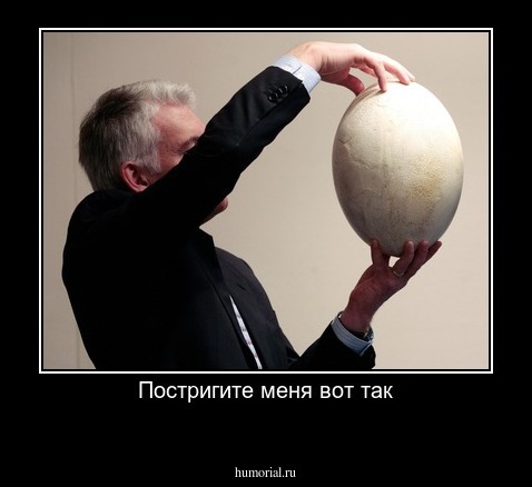 Постригите меня вот так

