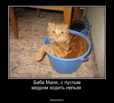 Баба Маня, с пустым ведром ходить нельзя
