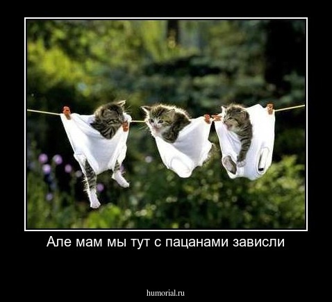 Але мам мы тут с пацанами зависли
