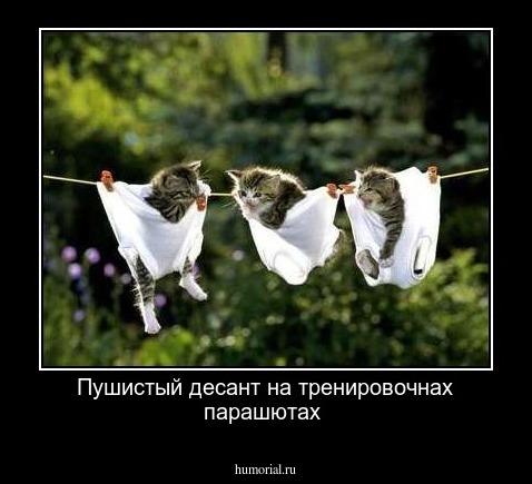 Пушистый десант на тренировочнах парашютах
