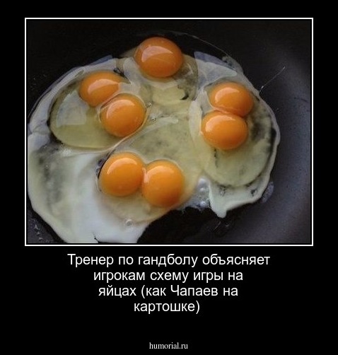 Тренер по гандболу объясняет игрокам  схему игры  на яйцах (как  Чапаев на  картошке)