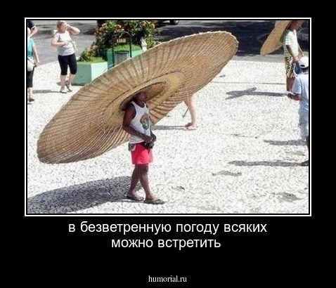 в безветренную погоду всяких можно встретить