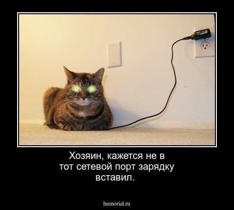 Хозяин, кажется не в тот сетевой порт зарядку вставил. 