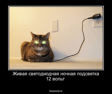 Живая светодиодная ночная подсветка 12 вольт