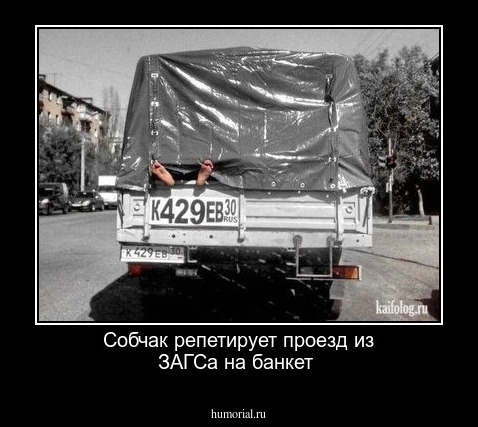 Собчак репетирует проезд из ЗАГСа на банкет