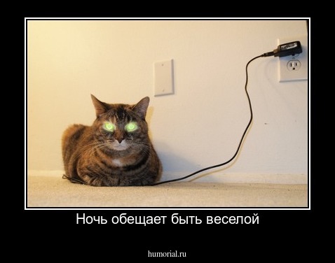Ночь обещает быть веселой