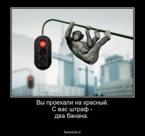 Вы проехали на красный. С вас штраф - два банана.