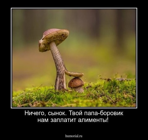 Ничего, сынок. Твой папа-боровик нам заплатит алименты!