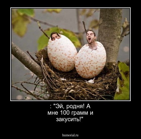  : "Эй, родня!  А мне 100 грамм и закусить!"