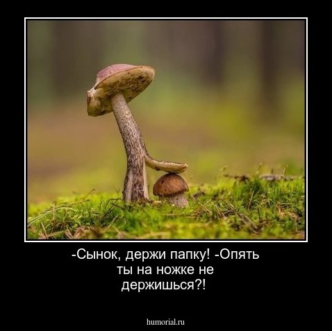-Сынок, держи папку! -Опять ты на ножке не держишься?!