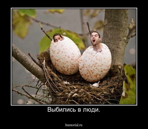 Выбились в люди.