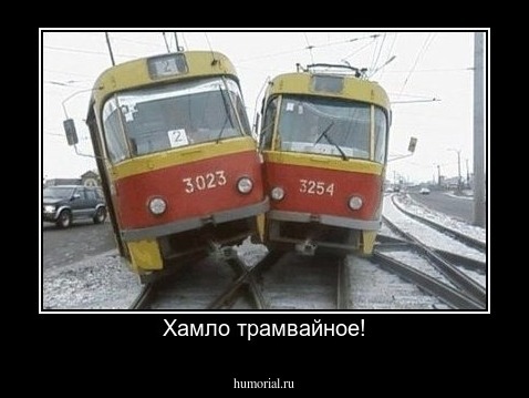 Хамло трамвайное!