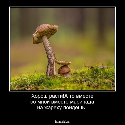 Хорош расти!А то вместе со мной вместо маринада на жареху пойдешь.