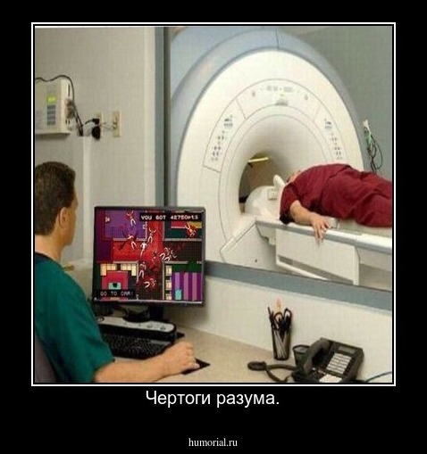 Чертоги разума.