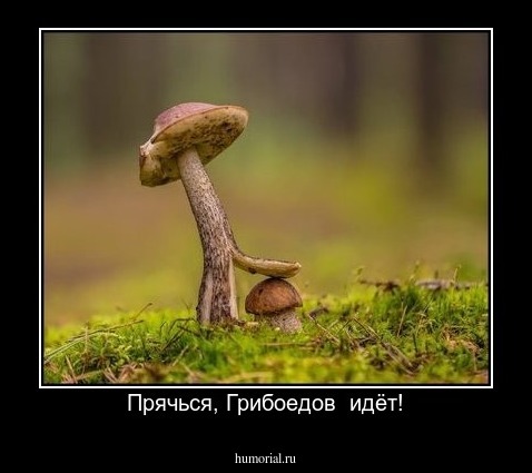 Прячься, Грибоедов  идёт!