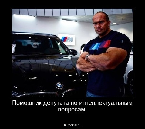 Помощник  депутата по  интеллектуальным  вопросам