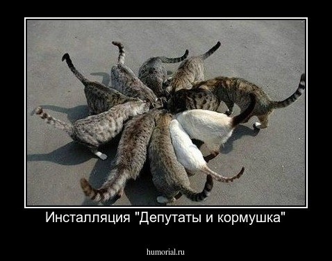 Инсталляция "Депутаты и кормушка"