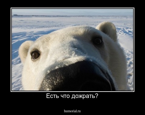Есть что дожрать?