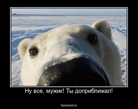 Ну все, мужик! Ты доприближал!