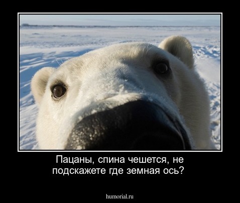 Пацаны, спина чешется, не подскажете где земная ось?